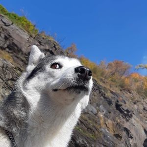 Meet your Posher, Coralie